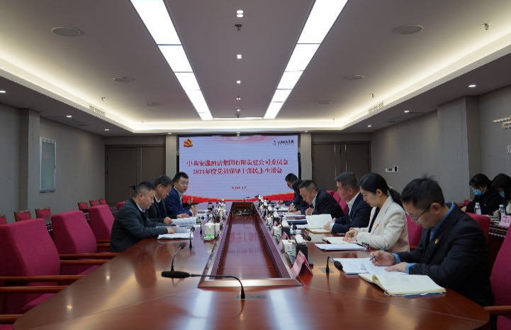 尊龙集团党委书记、董事长任丁出席安逸酒店集团2022年度党员领导干部民主生活会